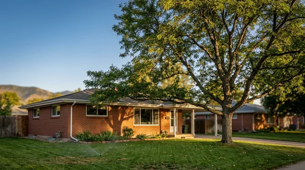 Team Fort Collins Tree Service in Fort Collins